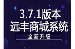 移動電子商務的市場運作與主導者 傳統電商、電信運營商與運營服務商的三足鼎立