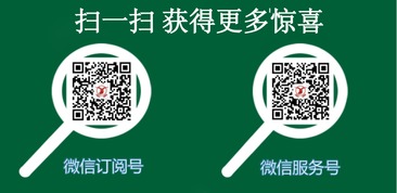 重慶發(fā)順化工有限責任公司技術轉(zhuǎn)讓 驅(qū)動創(chuàng)新與產(chǎn)業(yè)升級的雙贏路徑